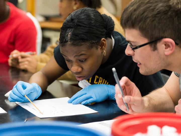 Young student doing science work